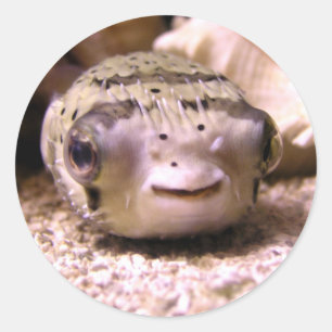 Helaines BlowfishPufferfish Runder Aufkleber