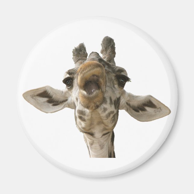 Helaine's Goofy Giraffe Magnet (Vorne)