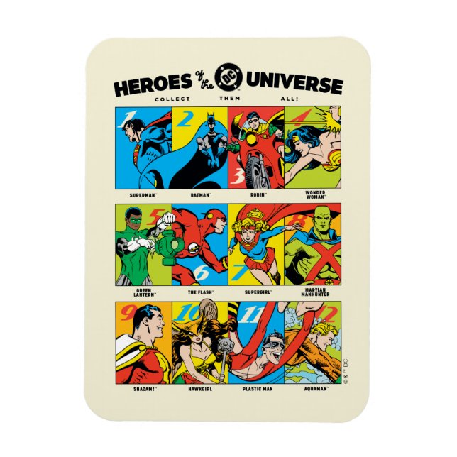 Helden des DC™ Universums Magnet (Vertikal)