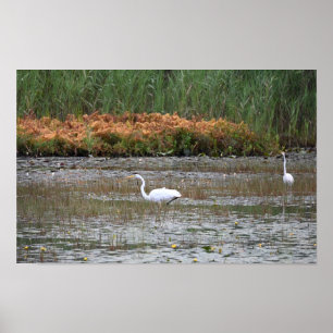 Helden im Marsh Poster