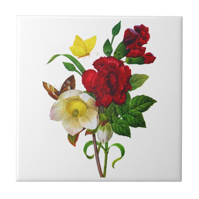 Helebore, Weihnachts-Rose von Pierre Joseph Redout Fliese (Vorderseite)