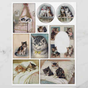 Helena Maguire Vintage Katze und Kätzchen Fussy Cu