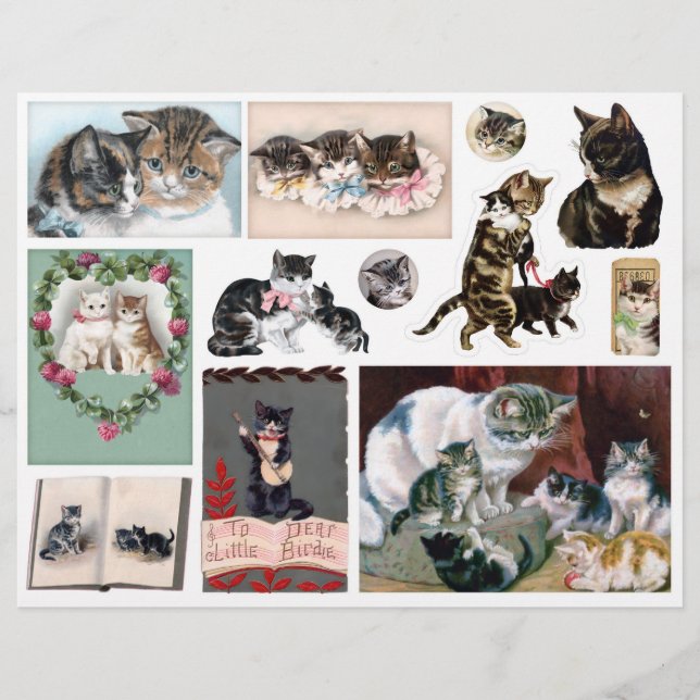 Helena Maguire Vintage Katzen Kunst Ephemera Fussy (Vorderseite)