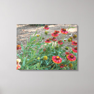 Helenium Blume Leinwanddruck