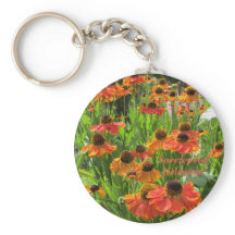 Helenium ‚Sneezeweed‘