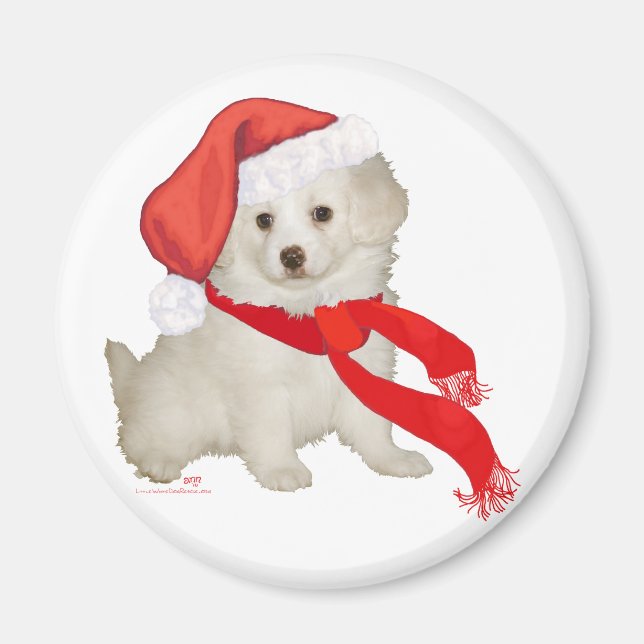 Helfer-Puppy-Poodle / Bichon-Mix Magnet (Vorne)