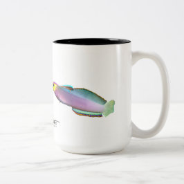 Helfrichs Dartfish, Nemateleotris helfrichi Zweifarbige Tasse