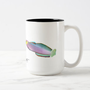 Helfrichs Dartfish, Nemateleotris helfrichi Zweifarbige Tasse