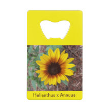 Helianthus Annuus Flaschenöffner