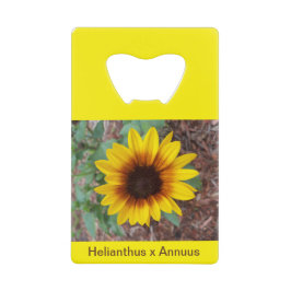 Helianthus Annuus Flaschenöffner
