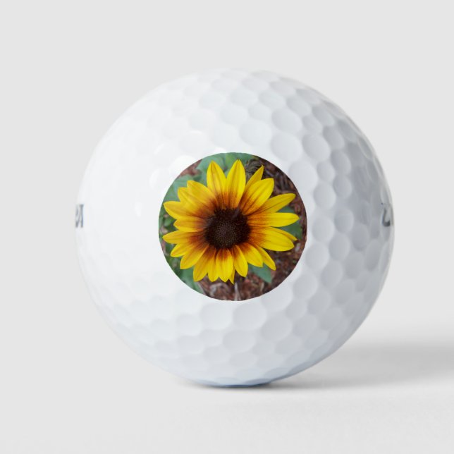 Helianthus Annuus Golfball (Vorderseite)