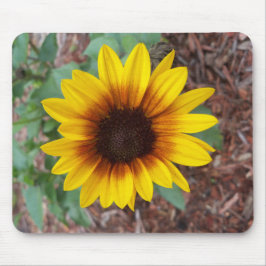 Helianthus Annuus Mousepad