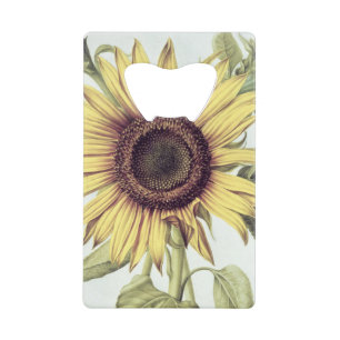 Helianthus Annuus von 'Velins du Roi Vol.36' Geldkarten Flaschenöffner