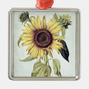 Helianthus Annuus von 'Velins du Roi Vol.36' Ornament Aus Metall
