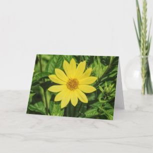 Helianthus 'Lemon Queen' Sonnenblume Karte