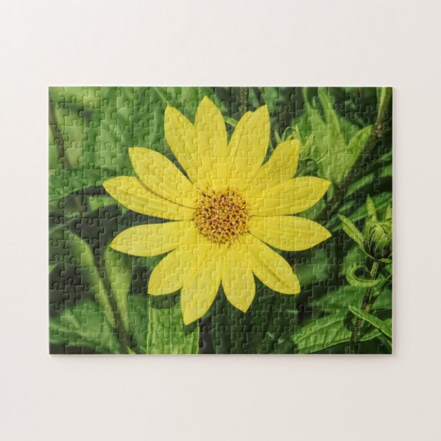 Helianthus 'Lemon Queen' Sonnenblume Puzzle (Horizontal)