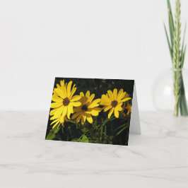 Helianthus salicifolius (Blaublättrige Sonnenblume Feiertagskarte