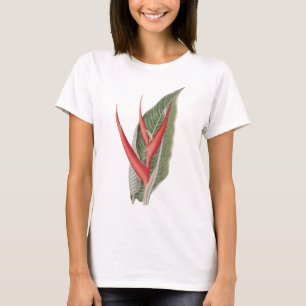 Heliconia 1800 Vintager botanischer T - Shirt