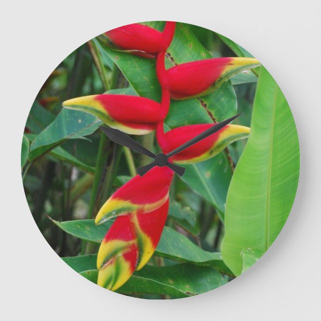 Heliconia Große Wanduhr (Vorderseite)