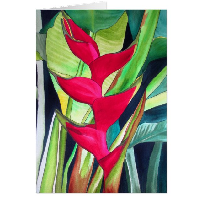 Heliconia Lobster Tropical Water Color Blume (Vorne)