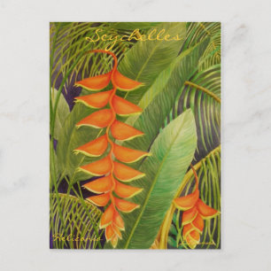 Heliconia Postkarte