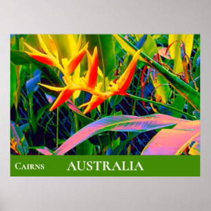 Heliconia Queensland Australien Tropische Blume Poster