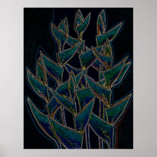 Heliconia Rostrata Tropische Pflanze Poster