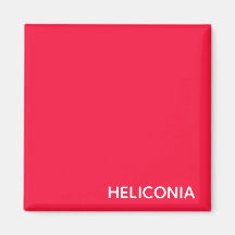 Heliconia roter Name