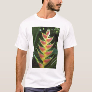 Heliconias, Heliconia walkeriana), La Selva T-Shirt