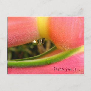 HeliconiaTropical Save the Date Wedding Cards Ankündigungspostkarte