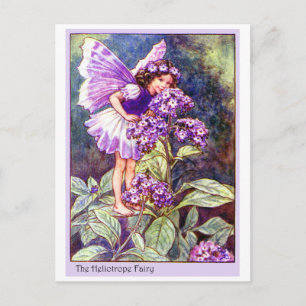 Heliotrope Fairy Postkarte
