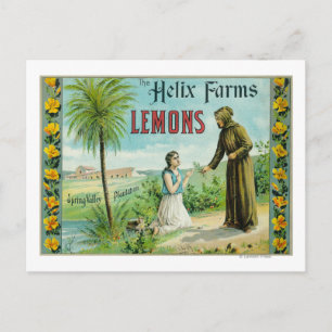 Helix Farms Lemon LabelSan Diego, CA Postkarte