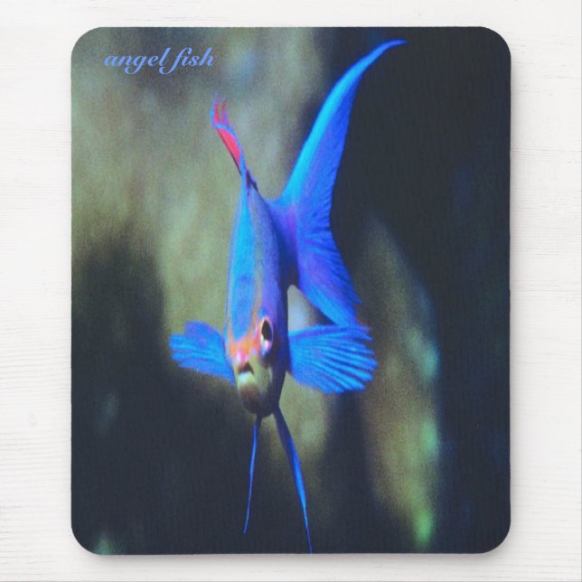 Hell-blau-Engel Fische, mousepad (Vorne)