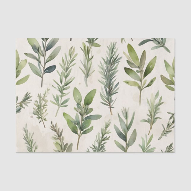 Hellbeige mit weich grüner Kraut Seidenpapier (Vorderseite)