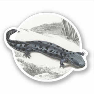 Hellbender Salamander Aufkleber
