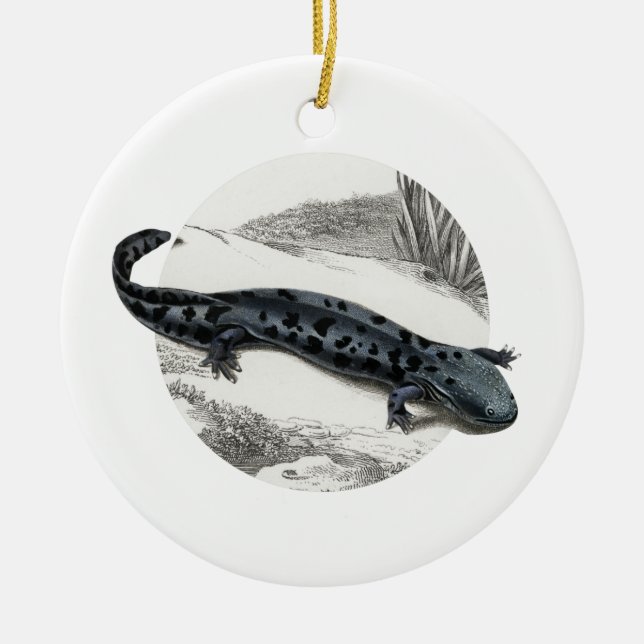 Hellbender Salamander Keramik Ornament (Vorne)