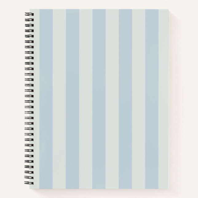 Hellblaue Streifen Notizbuch (Vorderseite)