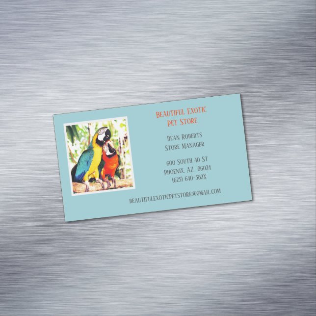 Hellblauer Tierarzt/Tierarzt Magnetische Visitenkarte (Beispiel)