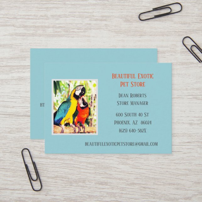 Hellblauer Tierarzt/Tierarzt Visitenkarte (Vorderseite/Rückseite Beispiel)