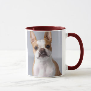 Hellbraune Boston-Terrier-HundeTasse Tasse