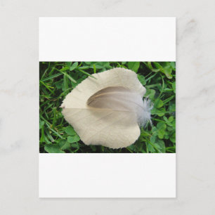 Hellbraune Feder auf hellbeigem Blatt Postkarte