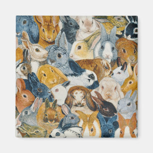 Helle Augen Magnet