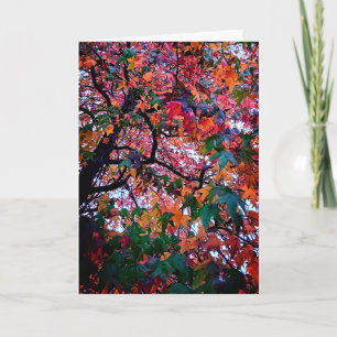 Helle Blätter Karte