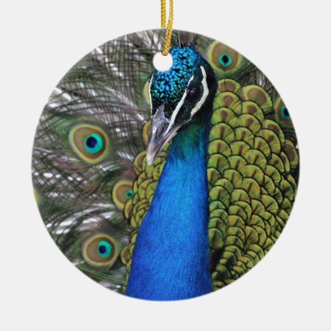 Helle blaue und grüne Federn des Pfau-w geöffnet Keramik Ornament (Vorne)