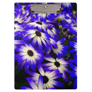 Helle blaue und weiße digitale Blume Klemmbrett