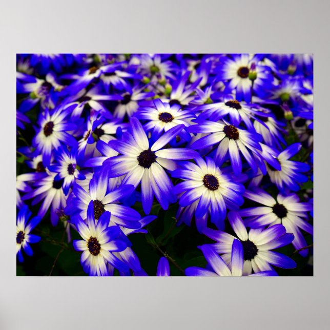 Helle blaue und weiße digitale Blume Poster (Vorne)