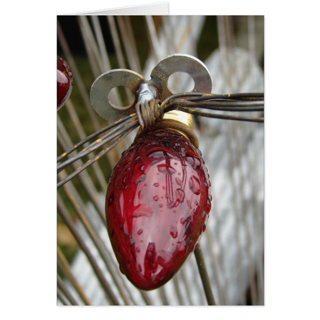 Helle Bug Gard Kunst mit Raindrops (Vorne)