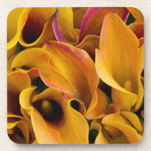 Helle bunte Calla-Lilien auf dem Untersetzer