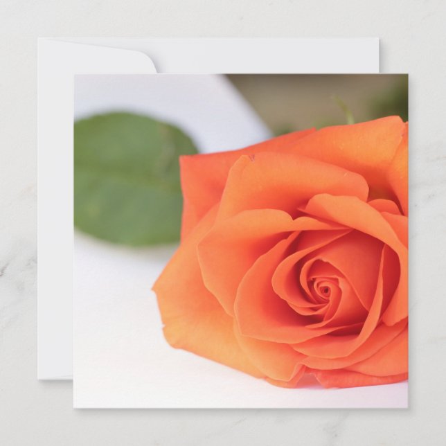 Helle Farben Orange Rose Ihrer Textflachkarte (Vorderseite)