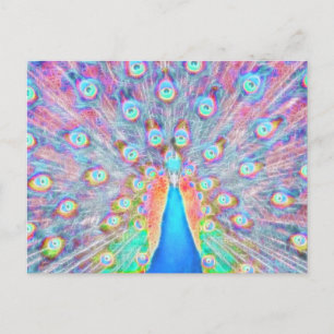 Helle Farben *Peacock* Spirit Design Postkarte